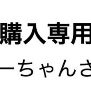 ぴーちゃんさん専用(その他)