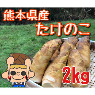 【値下げ】熊本県産　たけのこ　2kg(野菜)