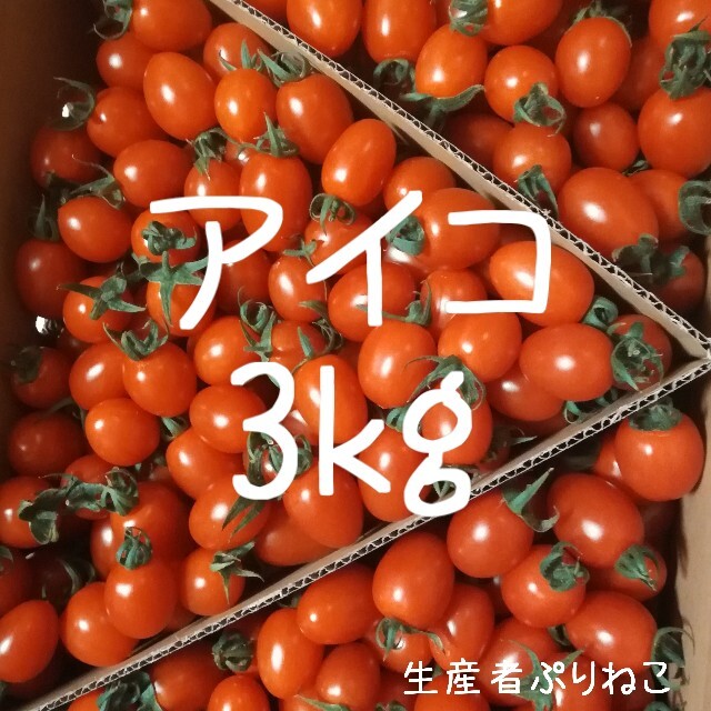 haru様 アイコ3kg  食品/飲料/酒の食品(野菜)の商品写真