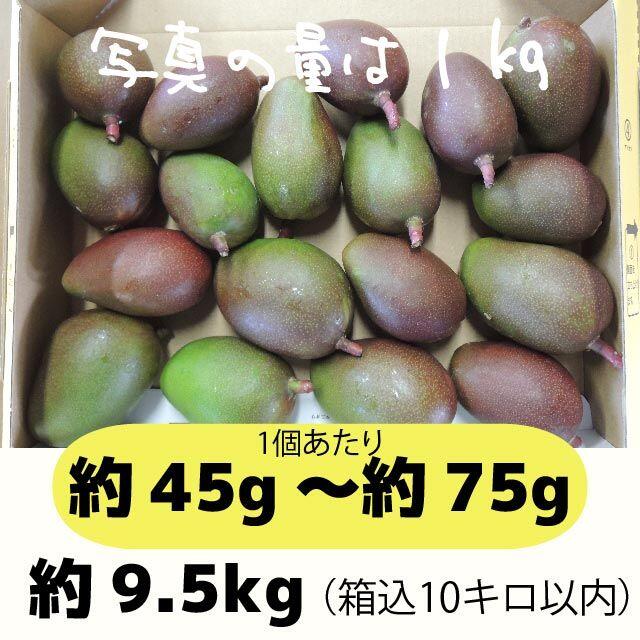 ［黄10-1］約9.5キロ　グリーンマンゴー 青マンゴー　加工用　マンゴー 食品/飲料/酒の食品(フルーツ)の商品写真