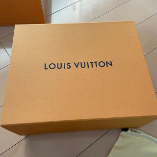 ルイヴィトン(LOUIS VUITTON)のルイヴィトン ギフトBOX バッグ用 プレゼント 空箱 保存用BOX(その他)