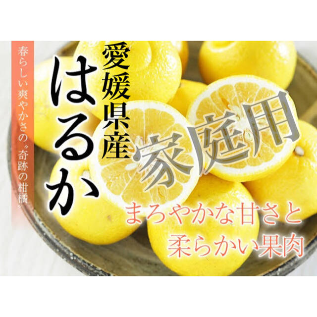 あまあまジューシー！家庭用【はるか】2〜3Lサイズ　9kg 食品/飲料/酒の食品(フルーツ)の商品写真