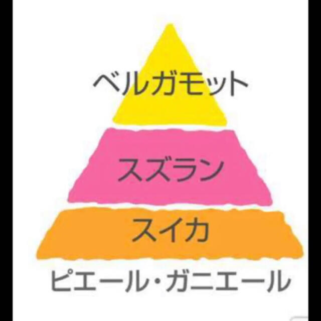 【送料無料♡発根済みなので安心！】ピエール・ガニエール♡根つき苗 エンタメ/ホビーのエンタメ その他(その他)の商品写真