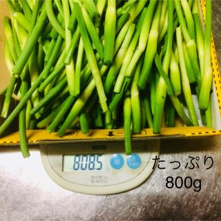 にんにくの芽 佐賀県産 つぼみ付き 800g(野菜)