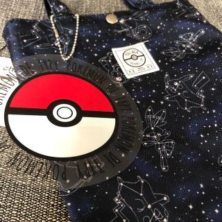 ポケモン(ポケモン)のポケモン　バック　モンスターボール　アクセサリー(トートバッグ)