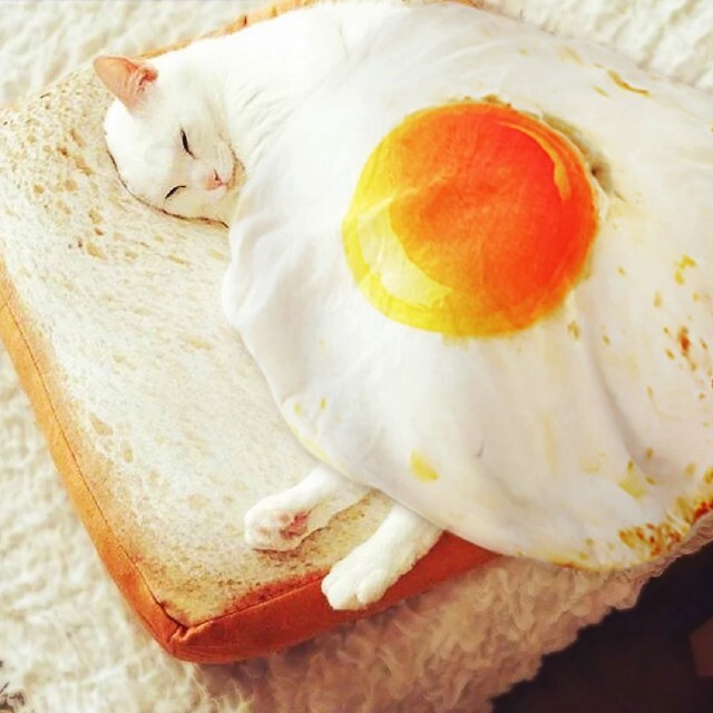 犬 猫 食パン トーストクッションベッド 目玉焼きブランケットセット 新品未使用の通販 By Chi S Shop ラクマ 犬 猫 食パン トーストクッションベッド 目玉焼きブランケットセット 新品未使用の通販 By Chi S Shop ラクマ