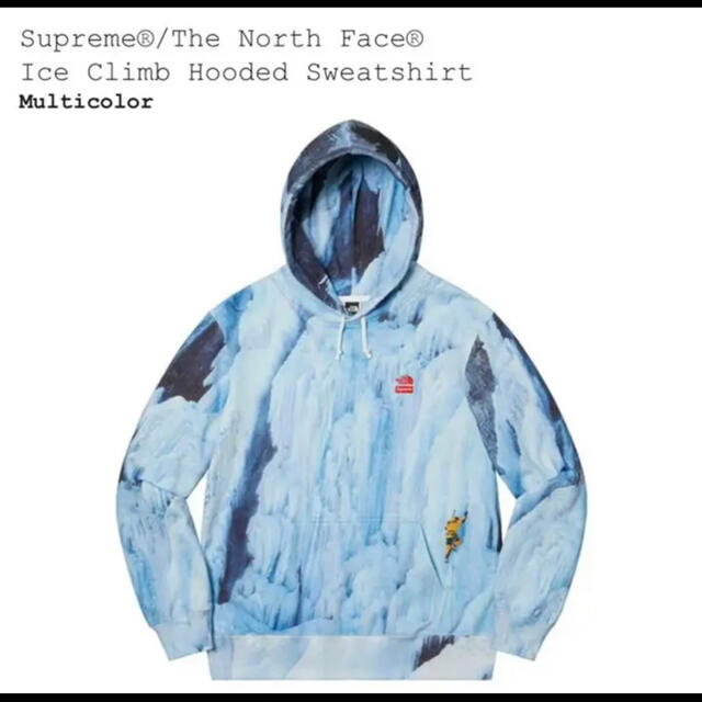 Supreme The North Face Hooded