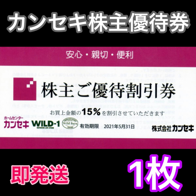 WILD-1 ワイルドワン　カンセキ 株主優待 割引券 1枚 ⭐️⭐️ チケットの優待券/割引券(ショッピング)の商品写真