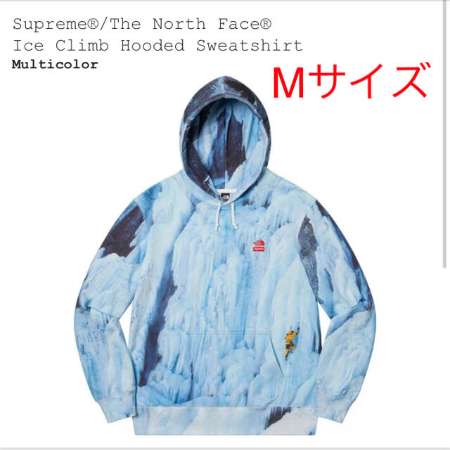 Supreme North Face Ice Climb Hooded パーカー