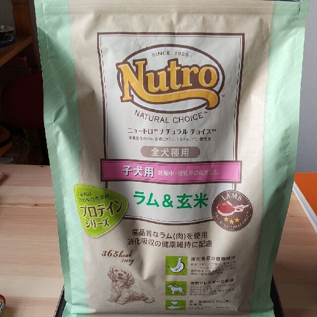 ニュートロ ナチュラルチョイス 子犬用 ラム&玄米 3kg その他のペット用品(ペットフード)の商品写真