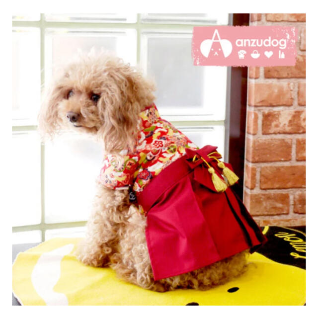 女の子 犬用着物 袴の通販 by mimi's shop｜ラクマ
