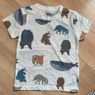 グラニフ(Design Tshirts Store graniph)のtシャツ 110(Tシャツ/カットソー)