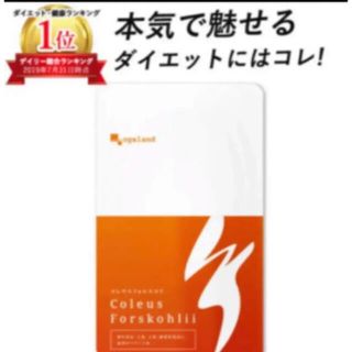 本気で魅せるダイエットにはコレッ✨燃焼系ダイエットサプリ✩TimeSALE中!!(その他)