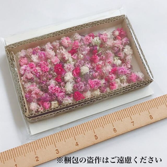 かすみ草　ドライフラワー　蕾開きかけブルーミックス ハンドメイドのフラワー/ガーデン(ドライフラワー)の商品写真