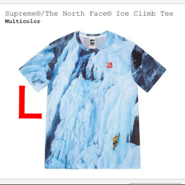 Supreme The North Face Ice Climb Tee Tシャツ/カットソー(半袖/袖なし)