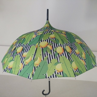 北欧デザイン グリーン&レモン 晴雨兼用傘(傘)