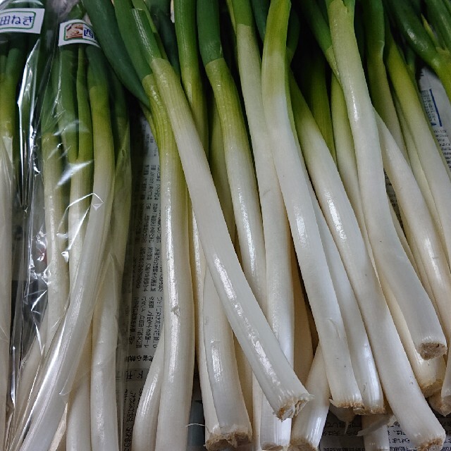 ✳️白ネギ✳️富山県産白ネギＢ品3㎏(30～40本) 食品/飲料/酒の食品(野菜)の商品写真