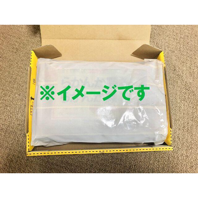 ①羅漢果顆粒５００ｇを２個　簡易包装で宅急便コンパクト発送　追跡保証あり