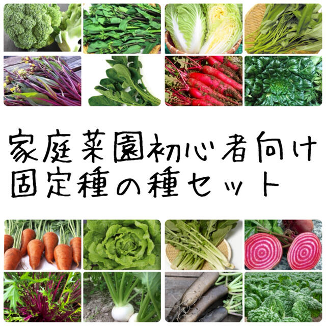 ★伝統野菜★家庭菜園初心者向け固定種の種セット 食品/飲料/酒の食品(野菜)の商品写真