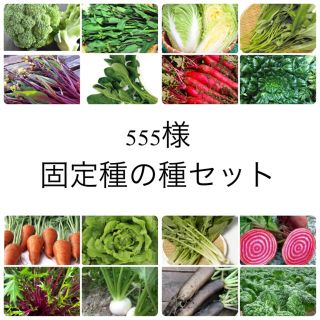 555様　★伝統野菜★固定種の種セット(野菜)