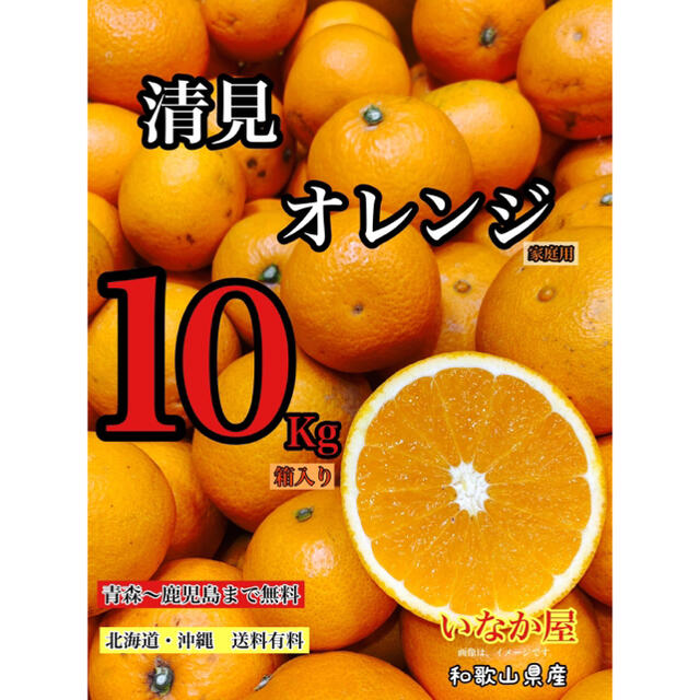 和歌山　きよみ　清見オレンジ　家庭用　セール　早い者勝ち残り1点 食品/飲料/酒の食品(フルーツ)の商品写真