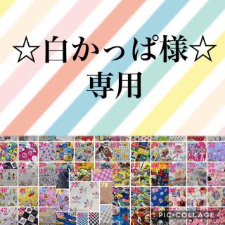☆白かっぱ様専用☆(その他)