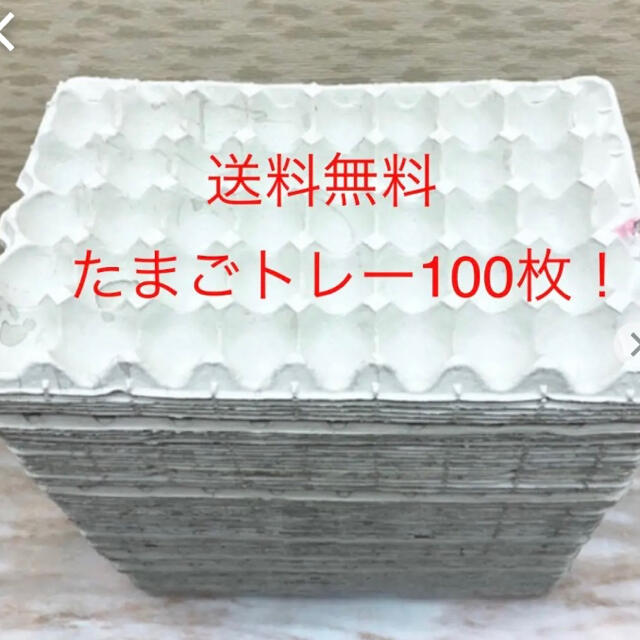 使い方いろいろ！たまご紙トレー100枚！送料無料！ その他のペット用品(爬虫類/両生類用品)の商品写真