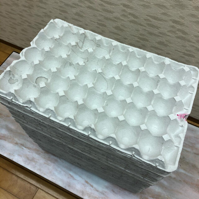 使い方いろいろ！たまご紙トレー100枚！送料無料！ その他のペット用品(爬虫類/両生類用品)の商品写真