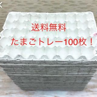 使い方いろいろ！たまご紙トレー100枚！送料無料！(爬虫類/両生類用品)