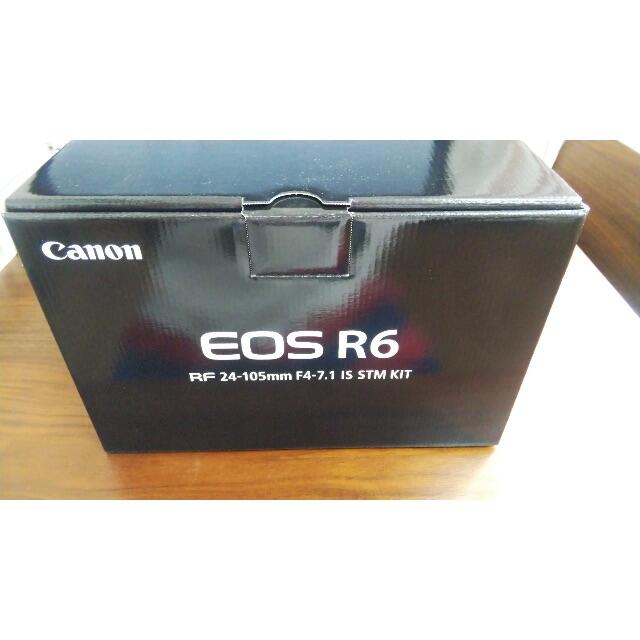 Canon キャノン EOS R6 美品