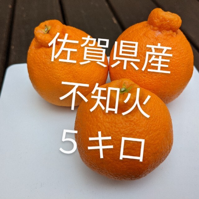 佐賀県産不知火10キロ