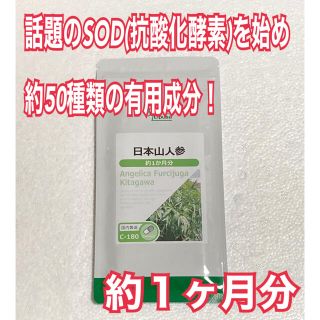 日本山人参　約１ヶ月分　未開封新品・送料無料　リプサ(その他)