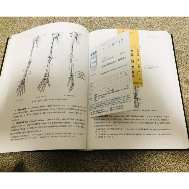 解剖学 1 総説・骨学・靱帯学・筋学〔改訂11版〕