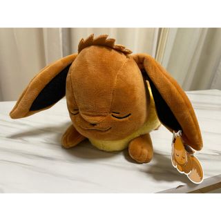 ポケモン 韓国 キャラクターグッズの通販 67点 ポケモンのエンタメ ホビーを買うならラクマ ポケモン 韓国 キャラクターグッズの通販 67点 ポケモンのエンタメ ホビーを買うならラクマ