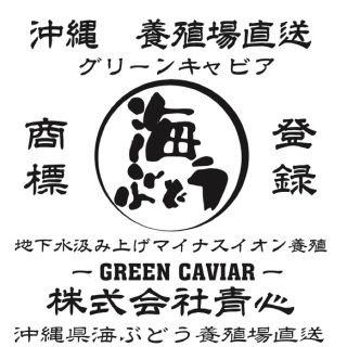 沖縄直送 海ぶどう　茎無し　A良品　1キロ　送料無料！(野菜)