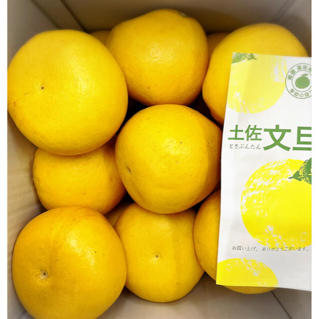 土佐文旦♪10kg×2箱 ぷくママ様専用 LM ciaoz2u.com