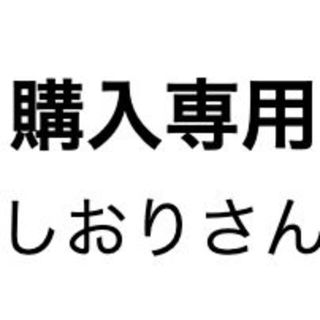 しおりさん専用(その他)