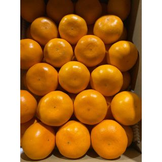 家庭用せとか 約4.5kgS(フルーツ)