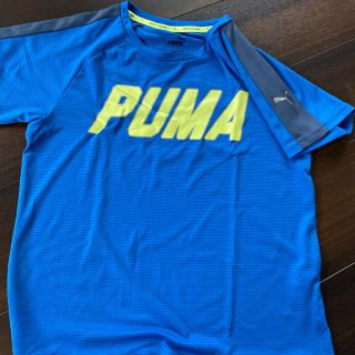 プーマ(PUMA)のプーマ　Tシャツ　半袖(Tシャツ/カットソー)