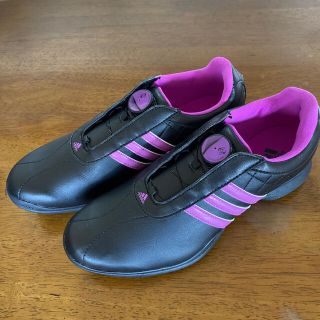 アディダス(adidas)の新品　adidasゴルフシューズ　レディース24.5(シューズ)