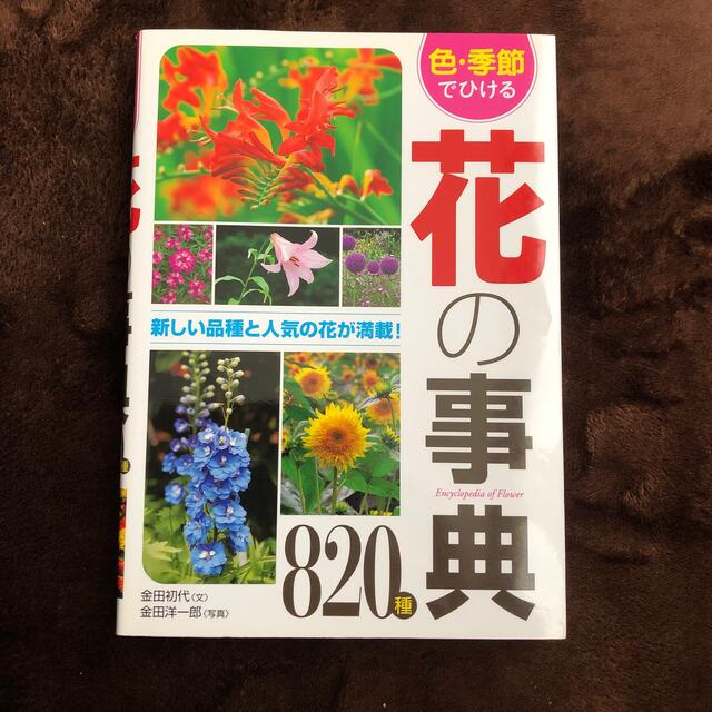 色・季節でひける花の事典８２０種 エンタメ/ホビーの本(趣味/スポーツ/実用)の商品写真