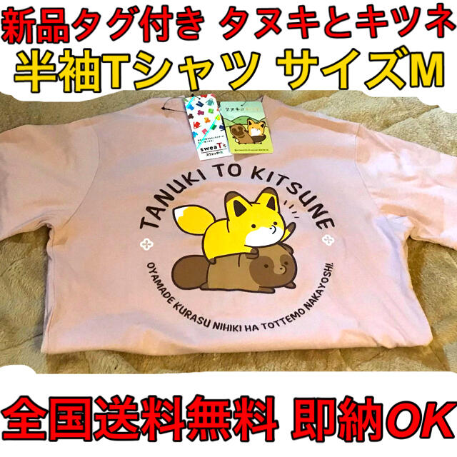 しまむら(シマムラ)の新品タグ付き◆タヌキとキツネ半袖Ｔシャツ◆サイズM◆タヌキツたぬきつ全国送料無料 エンタメ/ホビーのおもちゃ/ぬいぐるみ(キャラクターグッズ)の商品写真