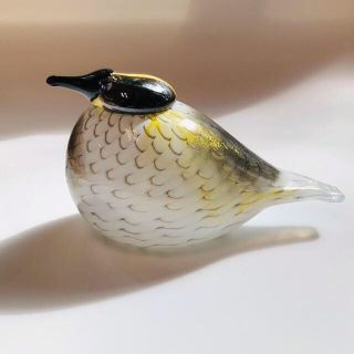 イッタラ(iittala)のにく。様専用　イッタラ   バード　 Yellow Rumped Warbler(置物)