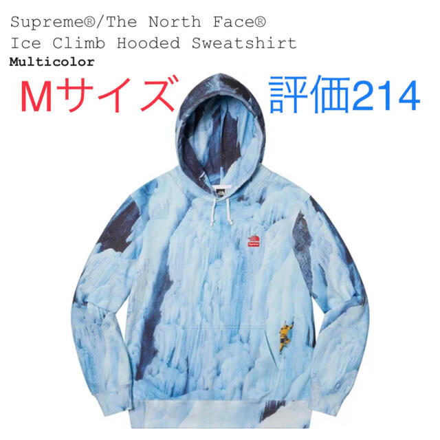 メンズSupreme The North Face Ice Climb Hooded