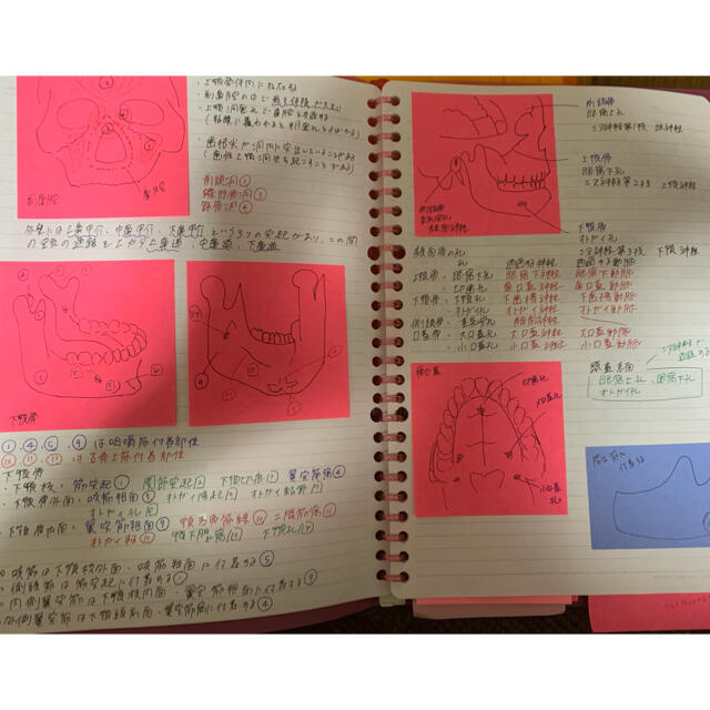 まとめノート歯科衛生士全科目 エンタメ/ホビーの本(語学/参考書)の商品写真