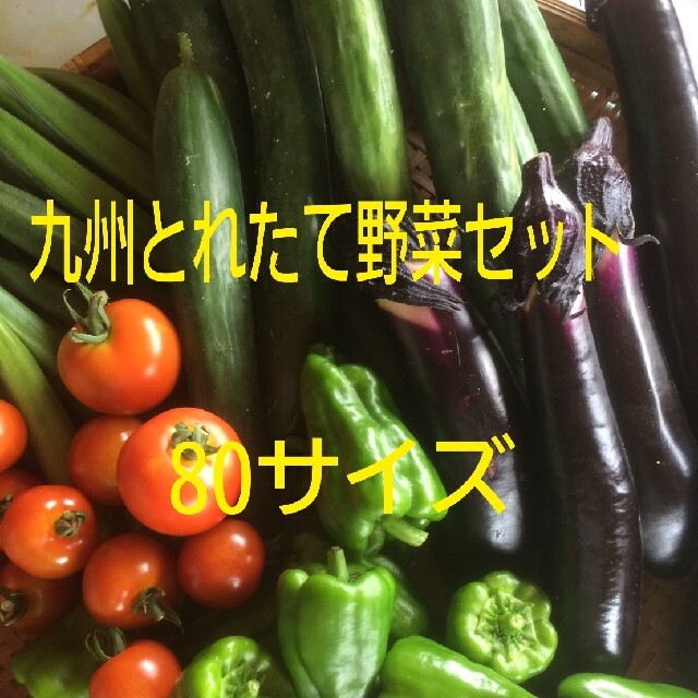 ４月５日発送‼️　野菜詰め合わせ 食品/飲料/酒の食品(野菜)の商品写真