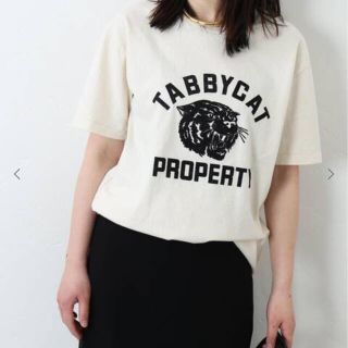 ジャーナルスタンダード(JOURNAL STANDARD)のMIXTA 今期Tシャツ(カットソー(半袖/袖なし))