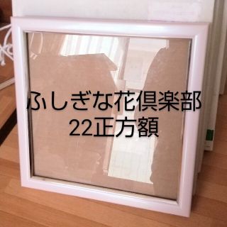 ふしぎな花倶楽部☆22正方マッシュピンク(絵画額縁)