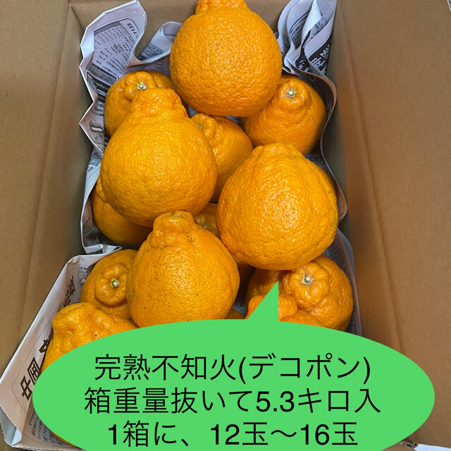 Gステラ様専用！ハウス完熟デコポン、３Ｌ～５Ｌサイズ、１０.６キロ！ご家庭用！ 食品/飲料/酒の食品(フルーツ)の商品写真