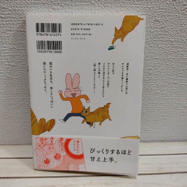 吉川さん家に猫がいる 吉川景都 エッセイ 猫 漫画の通販 By Benwallace S Shop ラクマ 吉川さん家に猫がいる 吉川景都 エッセイ 猫 漫画の通販 By Benwallace S Shop ラクマ